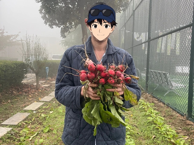 探尋健康新路徑：田園療法帶來身心治愈