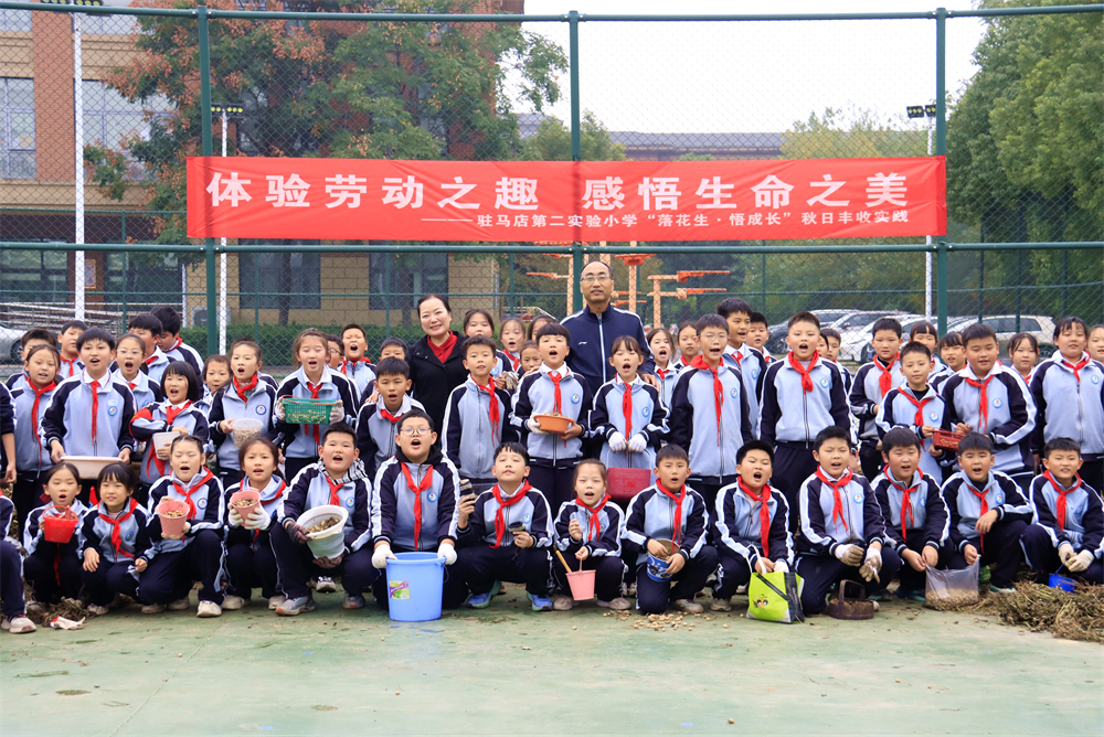  駐馬店第二實驗小學(xué)開展“落花生?悟成長”秋日豐收實踐活動