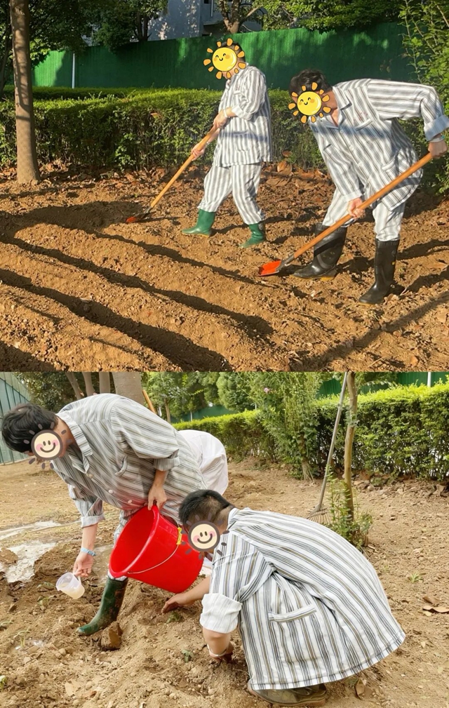 探尋健康新路徑：田園療法帶來身心治愈