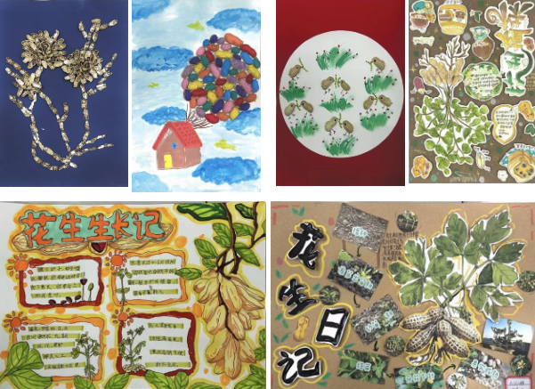 駐馬店第二實(shí)驗(yàn)小學(xué)開展“落花生?悟成長(zhǎng)”秋日豐收實(shí)踐活動(dòng)
