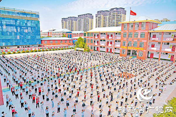 平輿縣:文明筑城暖民心民生答卷寫華章