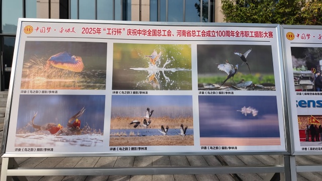 2025年全市職工攝影大賽獲獎作品展隆重開幕