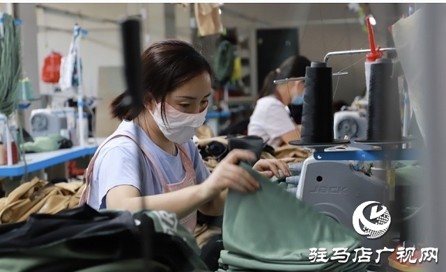 平輿縣:“黨建+”激活基層善治“一池春水”