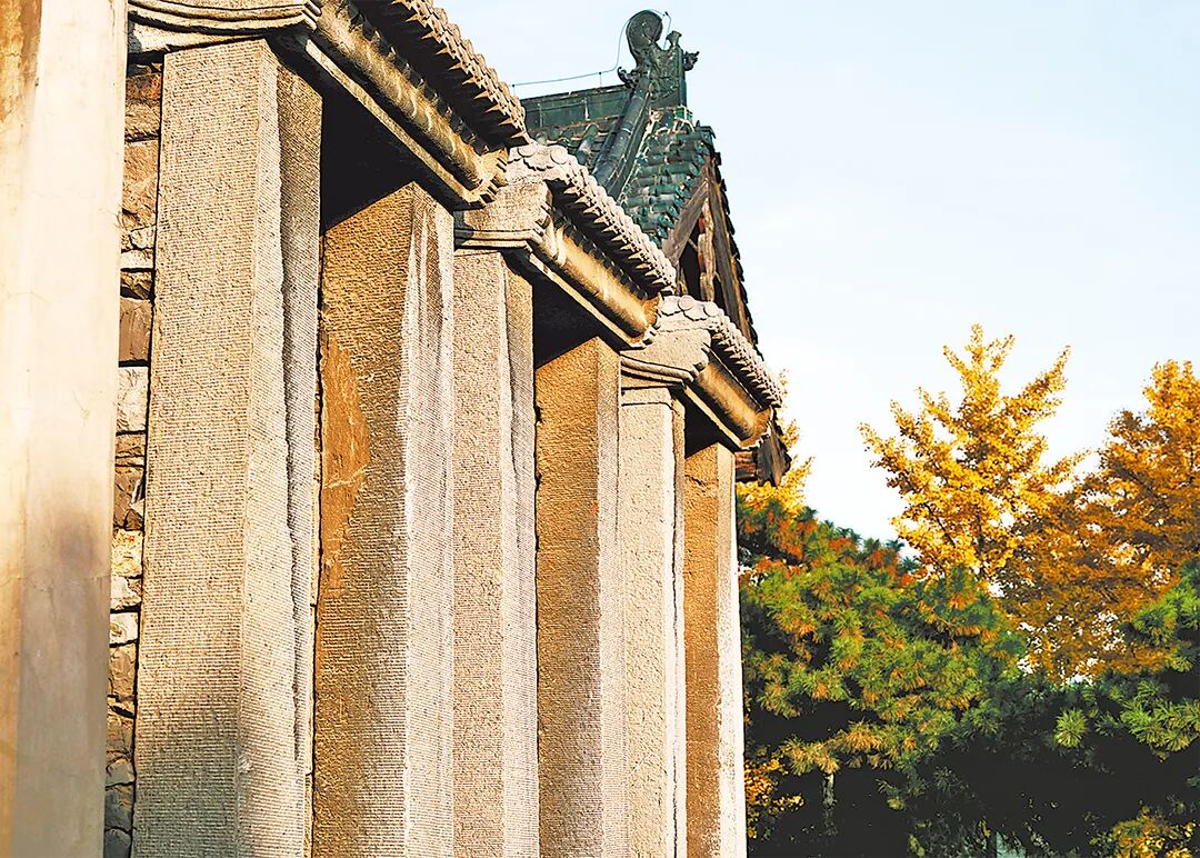 請打開“運河秋韻”畫卷！