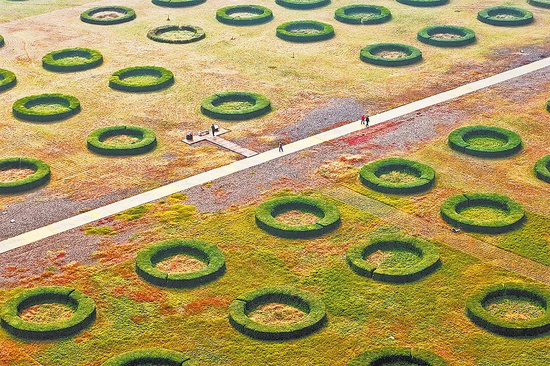 請打開“運河秋韻”畫卷！
