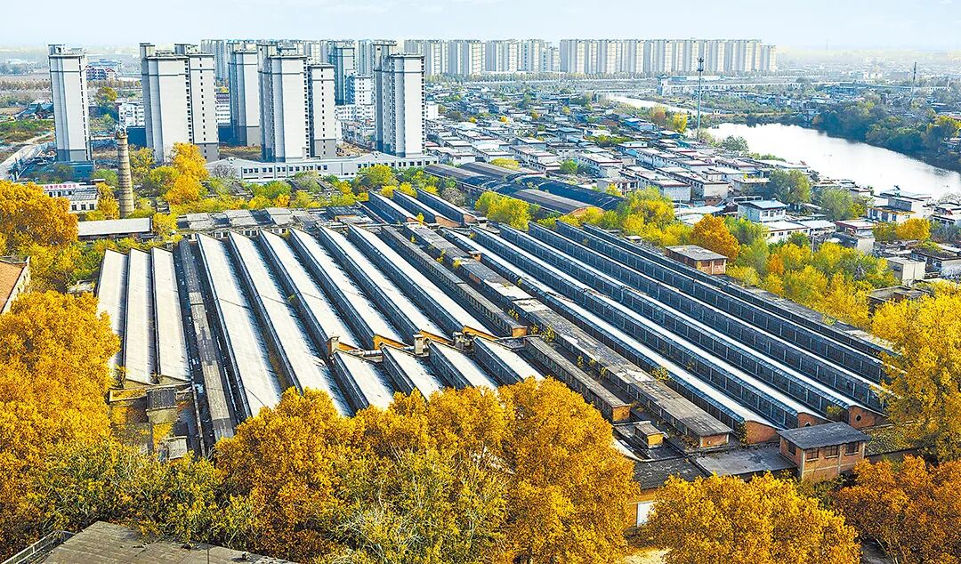 請打開“運河秋韻”畫卷！