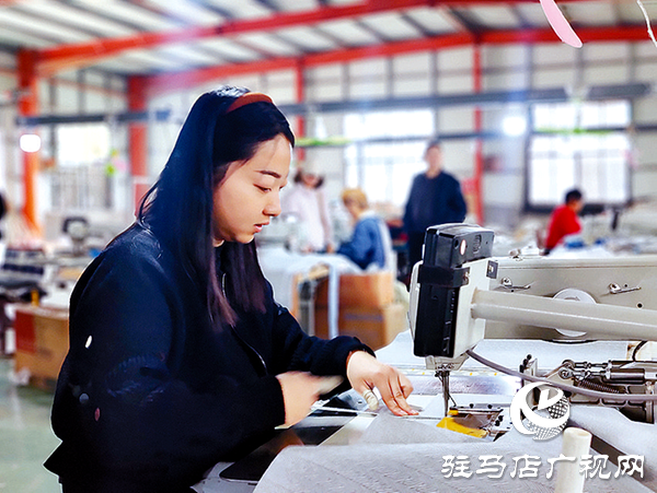 平輿答卷：“三園”模式解鎖強縣富民密碼