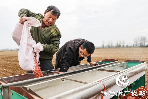 驛城區(qū)：精準(zhǔn)施策 力保晚播小麥不減產(chǎn)