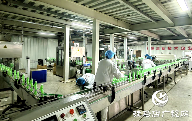 駐馬店市晨鐘生物科技:以現代化治理做強絲瓜產業(yè) 繪就鄉(xiāng)村振興“新樣本”