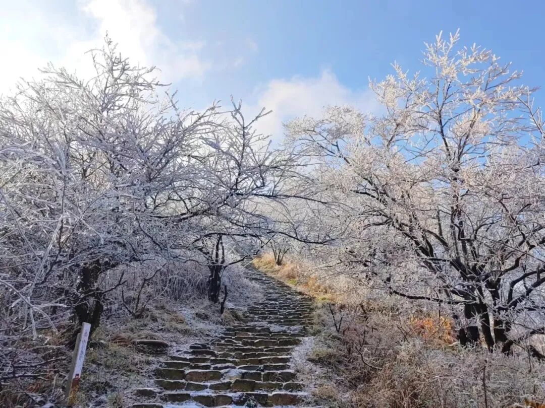 雪落天中！駐馬店初雪刷屏~這些絕美雪景，你都去看過嗎