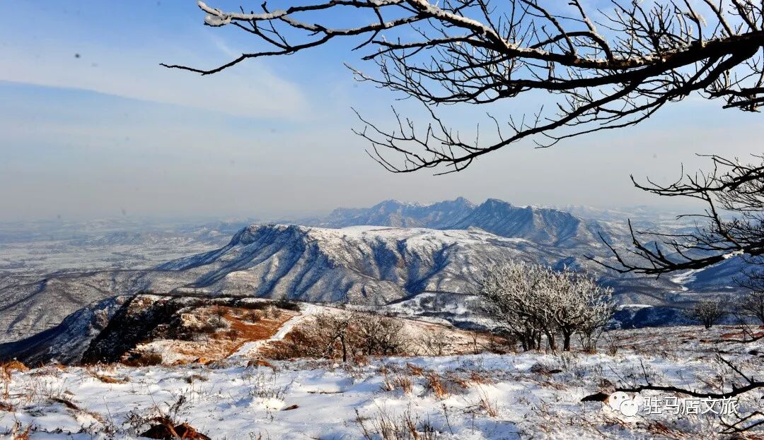 雪落天中！駐馬店初雪刷屏~這些絕美雪景，你都去看過嗎