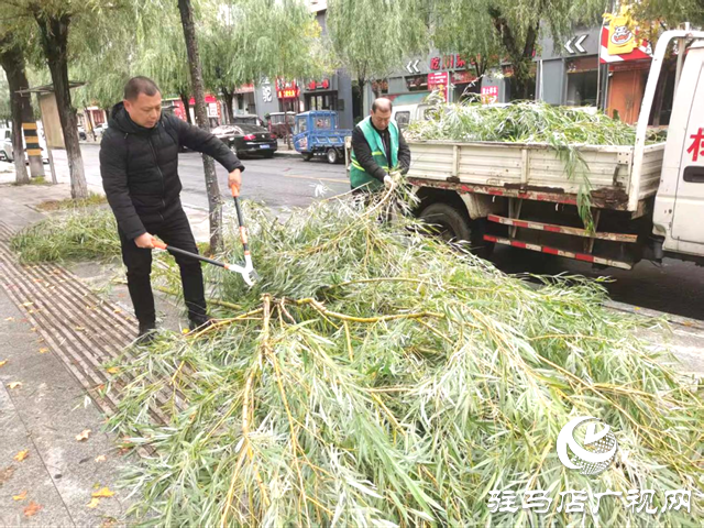  開發(fā)區(qū)城市管理事務(wù)中心以“動(dòng)”制凍 清斷枝除隱患保暢通