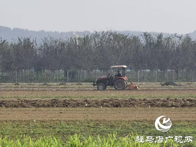 泌陽(yáng)縣高邑鎮(zhèn)：晴空萬(wàn)里好天氣 人勤機(jī)鳴播麥時(shí)