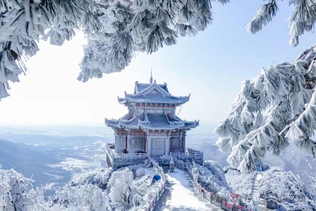 雪落天中！駐馬店初雪刷屏~這些絕美雪景，你都去看過嗎