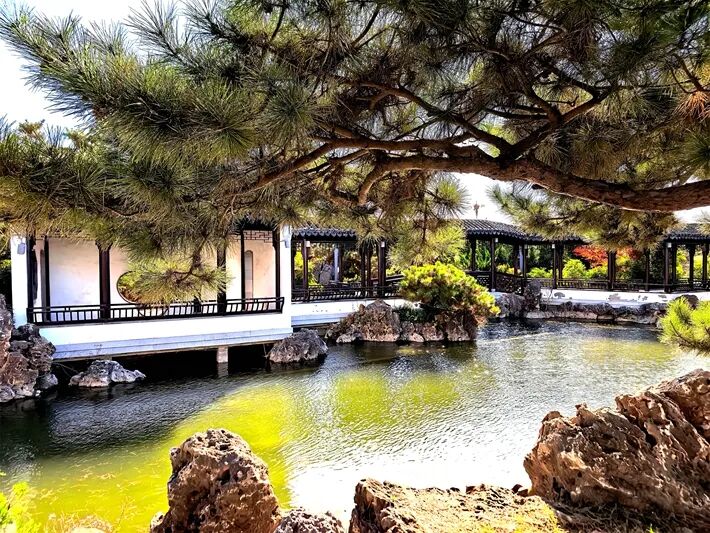 這個(gè)公園，初冬景致分外美