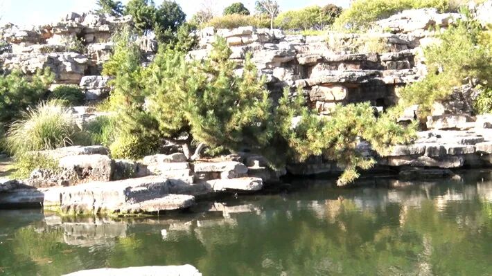 這個(gè)公園，初冬景致分外美