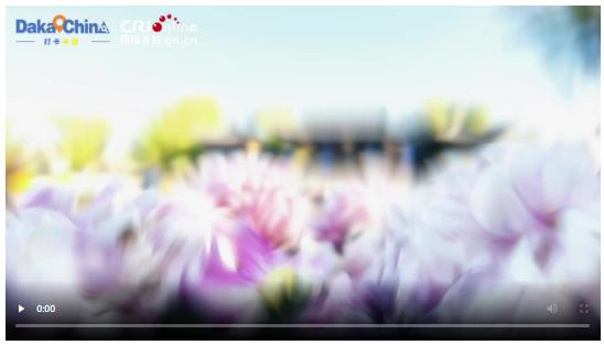 【2025打卡中國(guó)】在翰園碑林 拓印千年文化密碼