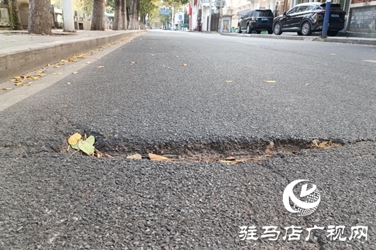路面坑洼 路燈不亮！駿馬路出行安全隱患盼消除