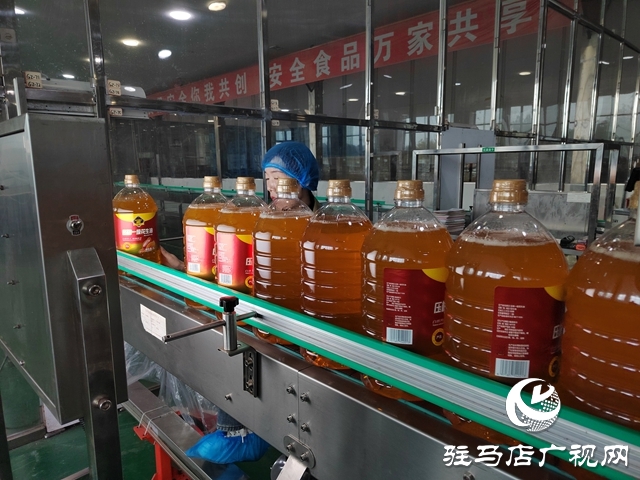 遂平縣：鉚足干勁趕進(jìn)度 奮力沖刺四季度