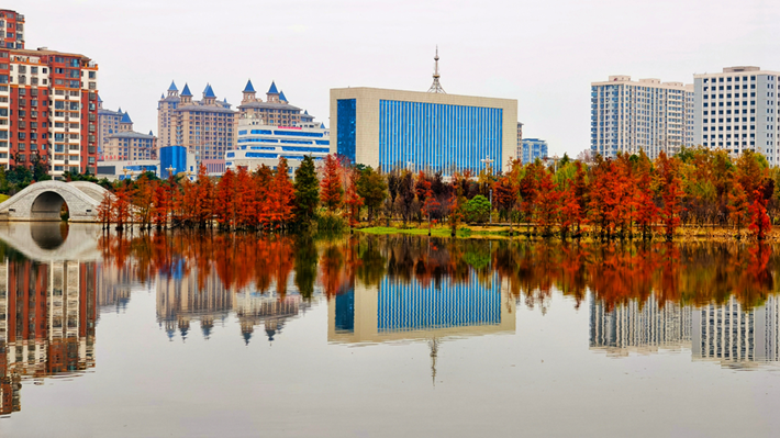 縣區(qū)動(dòng)態(tài)|水杉披“紅裝” 晴光暖玉湖