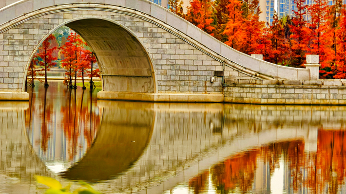 縣區(qū)動(dòng)態(tài)|水杉披“紅裝” 晴光暖玉湖