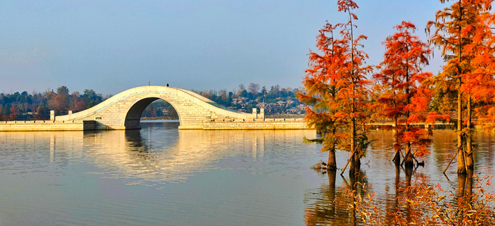 縣區(qū)動(dòng)態(tài)|水杉披“紅裝” 晴光暖玉湖