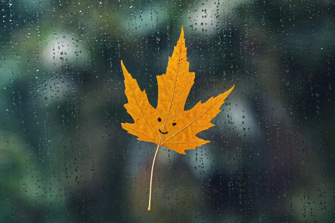 一降溫就傷感？小心“季節(jié)性情感障礙”！