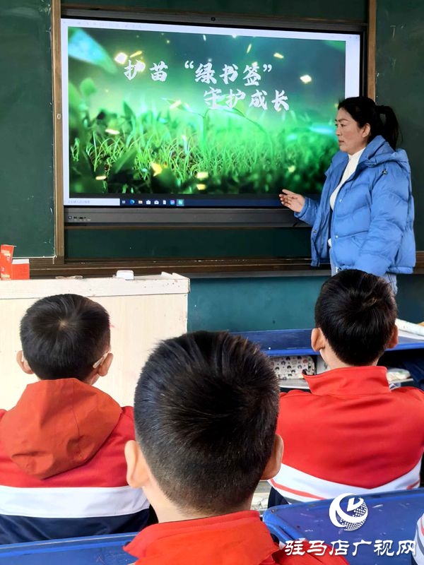 平輿縣古槐第二小學(xué)開(kāi)展護(hù)苗綠書(shū)簽活動(dòng)：書(shū)香浸潤(rùn)成長(zhǎng)