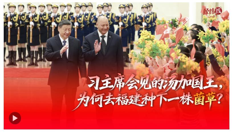 經(jīng)緯線·習(xí)主席會見的湯加國王，為何去福建種下一株菌草？