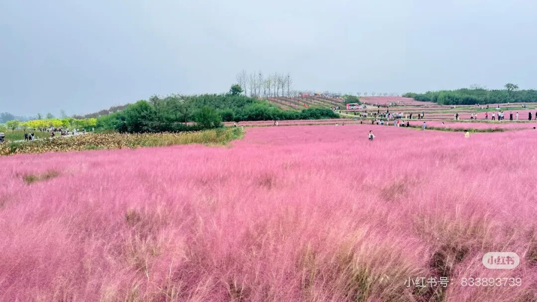 冬日信陽，獨(dú)具魅力！