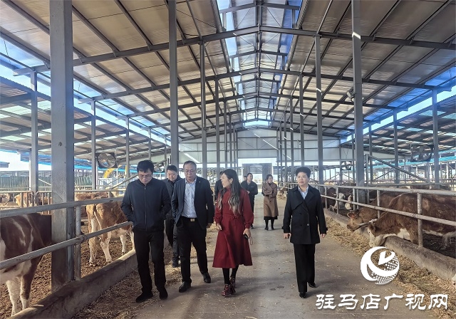 金融助力譜新篇 深耕天中再啟航——工行駐馬店分行“十四五”期間服務地方經(jīng)濟社會發(fā)展綜述