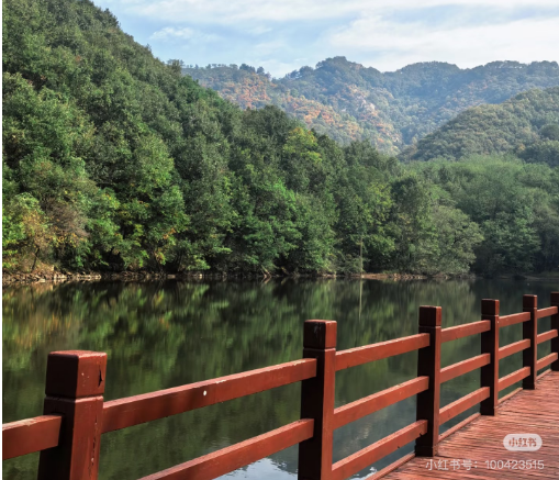 冬日信陽，獨(dú)具魅力！