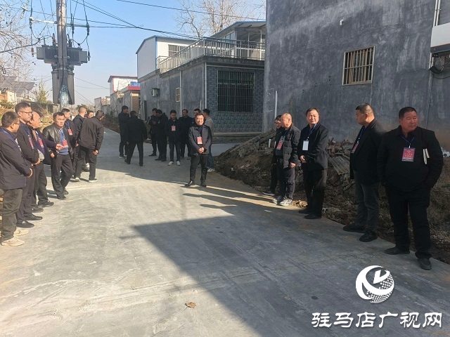  新蔡縣頓崗鄉(xiāng)組織人大代表視察調(diào)研道路建設(shè)民生實事項目