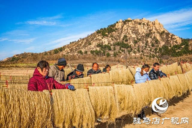 粉條搭起致富橋 ——走進(jìn)駐馬店驛城區(qū)板橋鎮(zhèn)口門(mén)村黑石山自然村許學(xué)用的粉條加工點(diǎn)