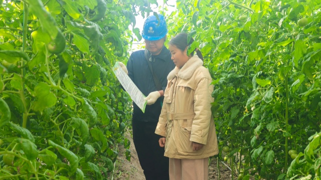 國網(wǎng)新蔡縣供電公司:電力靠前服務守護群眾“菜籃子”