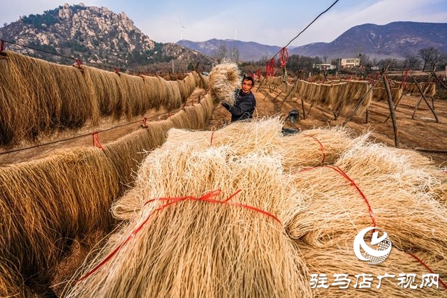 粉條搭起致富橋 ——走進(jìn)駐馬店驛城區(qū)板橋鎮(zhèn)口門(mén)村黑石山自然村許學(xué)用的粉條加工點(diǎn)