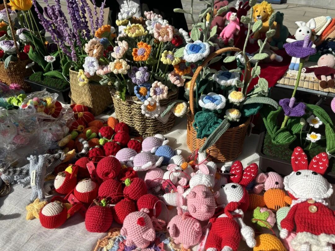 農(nóng)加會(huì)開(kāi)幕！駐馬店非遺驚艷亮相!