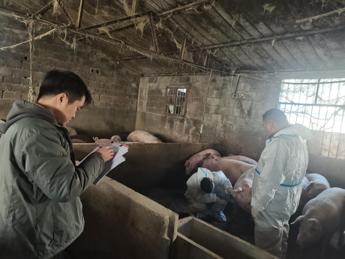 駐馬店市動(dòng)物疫病防疫檢疫中心發(fā)布12月份動(dòng)物疫病預(yù)警預(yù)報(bào)信息