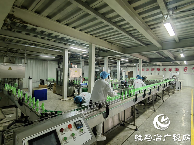 治理現(xiàn)代化 賦能“小絲瓜” 晨鐘生物繪就鄉(xiāng)村振興“新樣本”