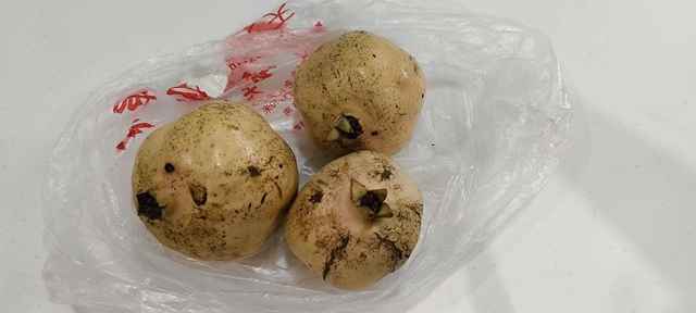 十二載仁心守護(hù)，三顆石榴見證醫(yī)患情深