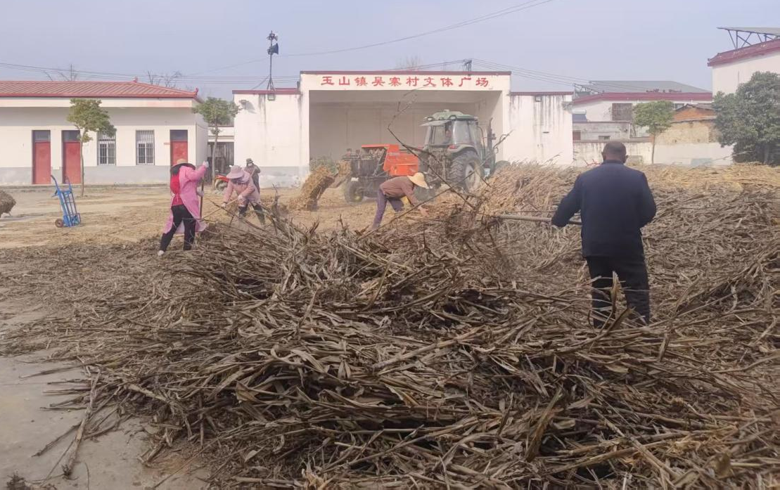 遂平縣玉山鎮(zhèn)吳寨村:玉米秸稈變廢為寶 破解秸稈處理難題