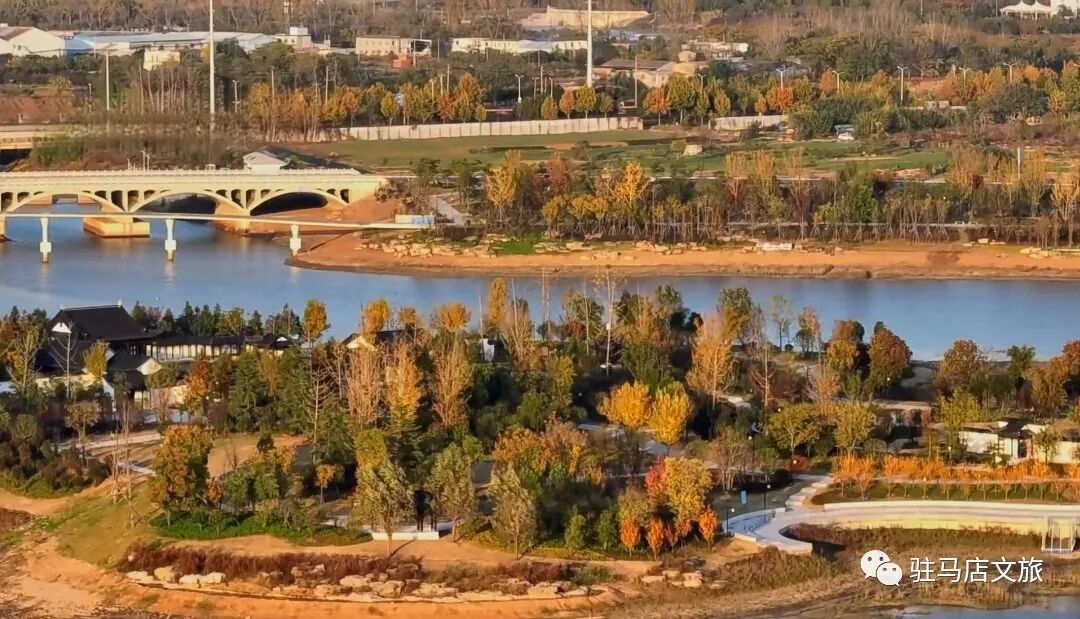 家門口的練江湖，藏著一片會(huì)“燃燒”的森林！