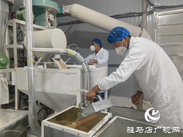 駐馬店市驛城區(qū)：石磨轉(zhuǎn)出新動(dòng)能 特色產(chǎn)業(yè)繪就鄉(xiāng)村振興新圖景