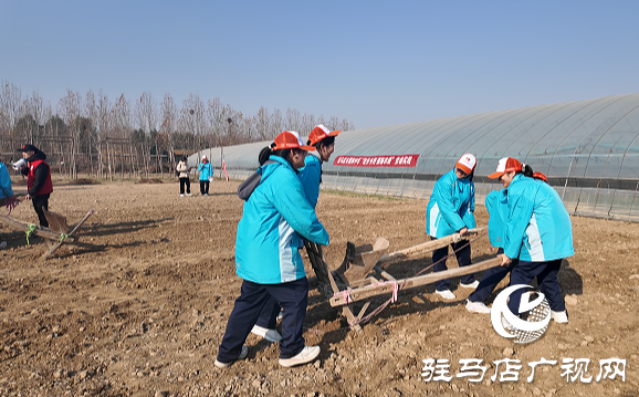 駐馬店市第四中學開展“徒步鄉(xiāng)野 探秘農(nóng)耕，感悟成長”研學活動