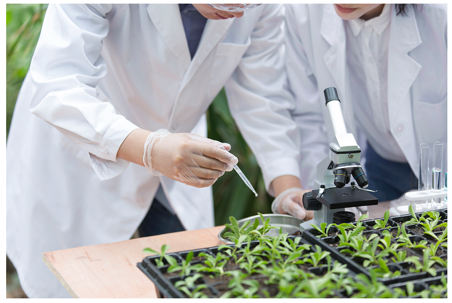 經濟大省挑大梁｜河南這樣拼未來