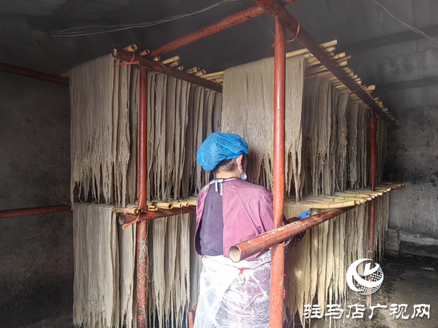 傳統(tǒng)工藝釀“薯”光 驛城手工粉條串起鄉(xiāng)村振興鏈