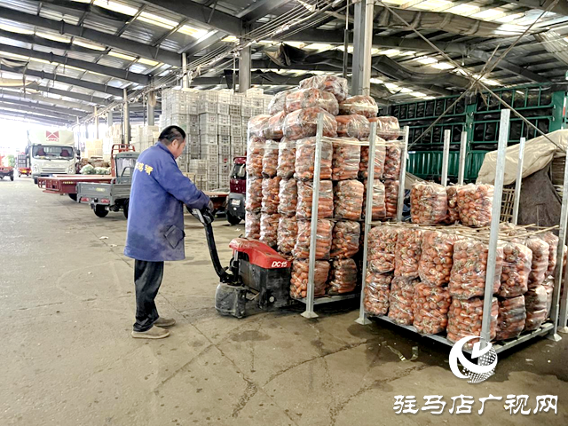 駐馬店市眾信農副產品綜合批發(fā)市場:全力應對寒潮天氣 保障冬季蔬菜供應