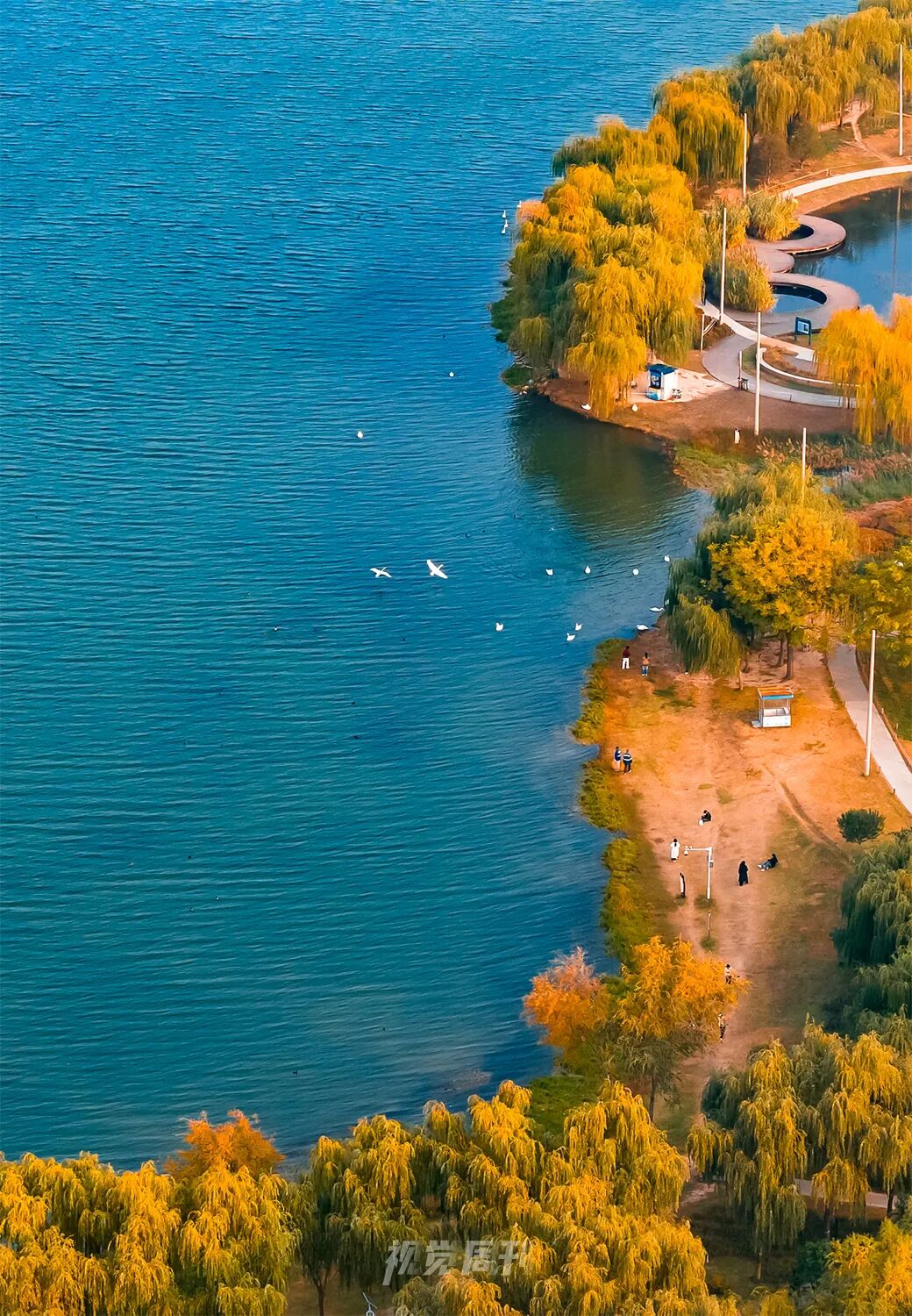 美！河南冬景上新啦