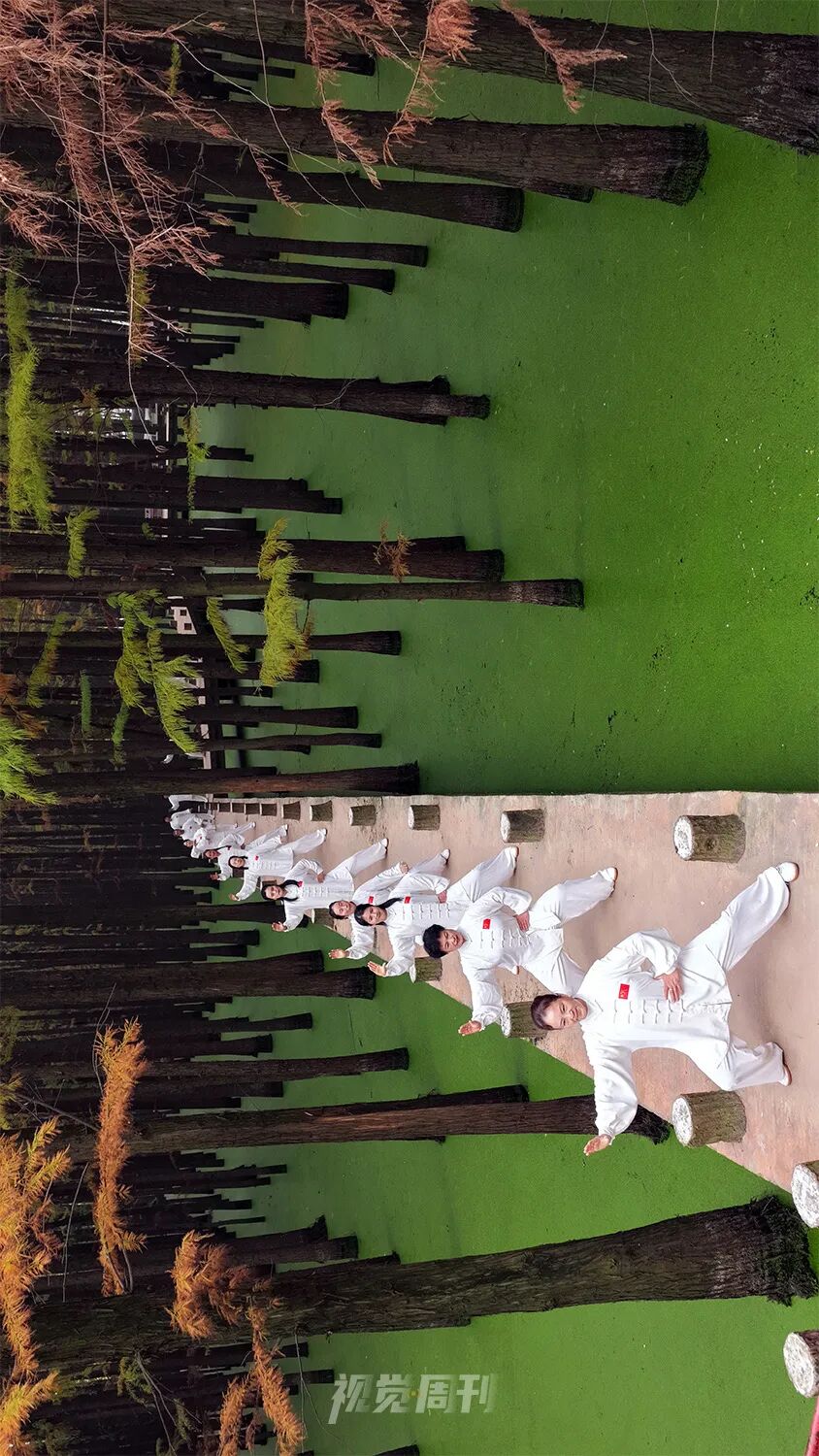 美！河南冬景上新啦