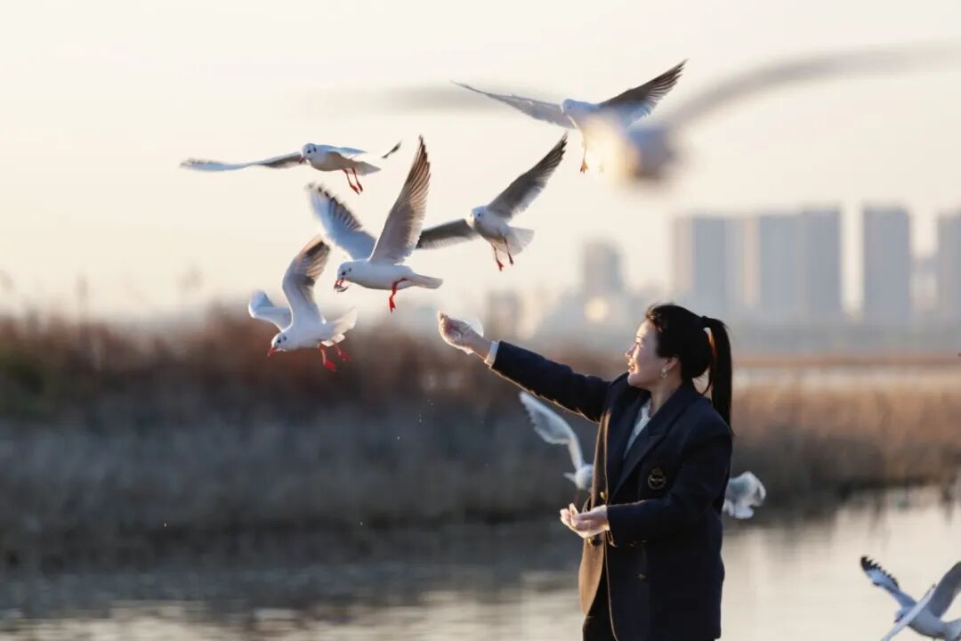 美！河南冬景上新啦